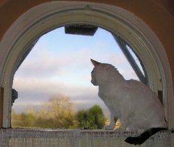Through the...arched window Wallpaper
