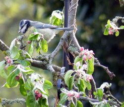 Eastcote Village Wallpaper
