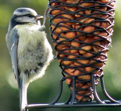 Eastcote Village Wallpaper