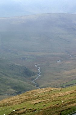 The valley.