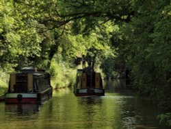 Birmingham and Worcester Canal, Dunhampstead, near Oddingley, Worcs. Wallpaper