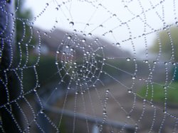 Eastcote Village Wallpaper