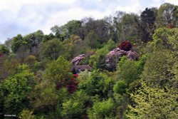 The Edge of Exmoor Wallpaper