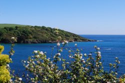 View of estuary from coastal path Wallpaper