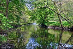 The Edge of Exmoor Wallpaper