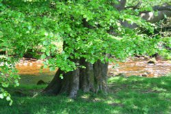 Dunsop Bridge Wallpaper