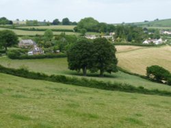 Combe St Nicholas Wallpaper