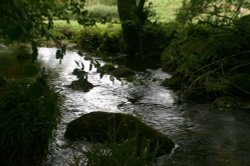 A dark part of the river. Wallpaper