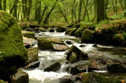 Looks like more rocks than river.