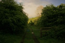 Drewton Estate, Weedley Springs near South Cave