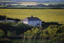 A Malborough farm house Wallpaper