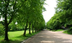 Corporation Park Wallpaper