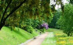 Corporation Park