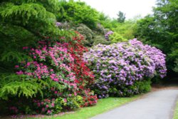 Corporation Park