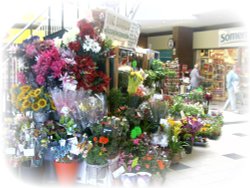 Flower shops