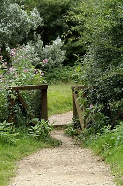 The gate.