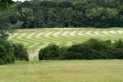 Freshly mown field. Wallpaper