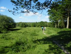 Ruislip Common Wallpaper