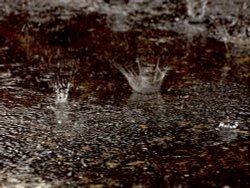Raindrops in Steeple Claydon, Bucks Wallpaper
