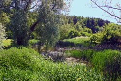 Hinton St. Mary, Dorset. Wallpaper