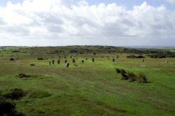 The Cheese ring. Wallpaper