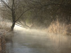 Morning mist 2