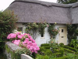 The Old Vicarage Milton Abbas (1)