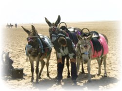 St Annes donkey rides Wallpaper