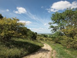 The Ashridge Estate above Ivinghoe, Bucks