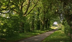 Scampston Gardens003b Wallpaper