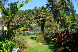 In the Botanic Gardens Wallpaper