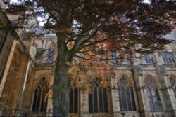 Beverley Minster Wallpaper