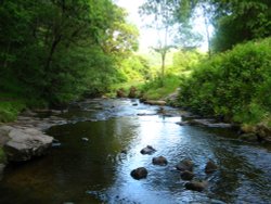 The Stream Jerusalem Farm, Booth near Halifax Wallpaper