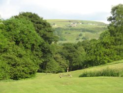 Jerusalem Farm Wallpaper