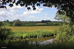 Hinton St. Mary, Dorset Wallpaper