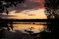 Delamere Sunset June 2009