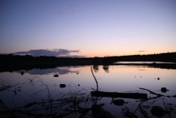 Delamere Sunset June 2009 - Photo 2