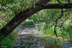 Sturminster Newton in Dorset Wallpaper