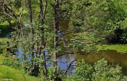 Sturminster Newton in Dorset Wallpaper