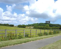 Penshaw Monument 14th June 2009