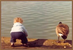 Victoria Park Wallpaper