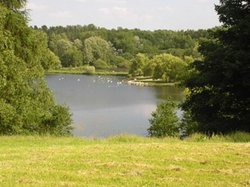 Country Park Little Lever Wallpaper