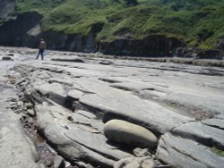 Port Mulgrave Wallpaper