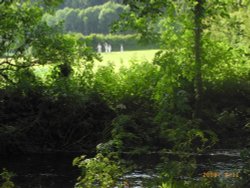 Evening practice Wallpaper