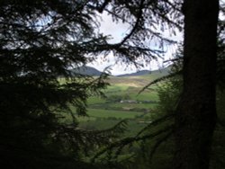 Looking out from Crag Fell