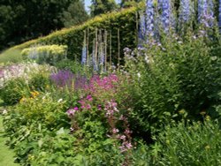Gardens at Anglesey Abbey Wallpaper