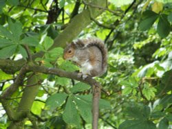 Eastcote Village Wallpaper