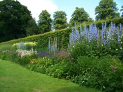 Gardens at Anglesey Abbey, Cambridgeshire, England Wallpaper