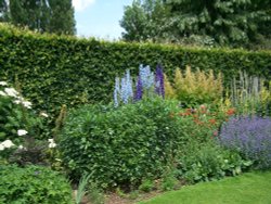 Pretty gardens Wallpaper