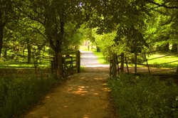 Path from Church Wallpaper